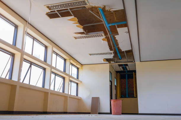 Best Water damage cleanup near me  in French Mp, CA