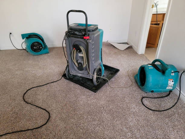 Best Water damage restoration near me  in French Mp, CA