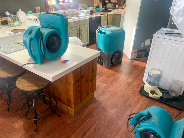 Best Local water damage restoration  in French Mp, CA