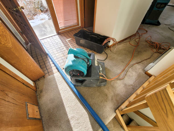 Best Mold removal after water damage  in French Mp, CA
