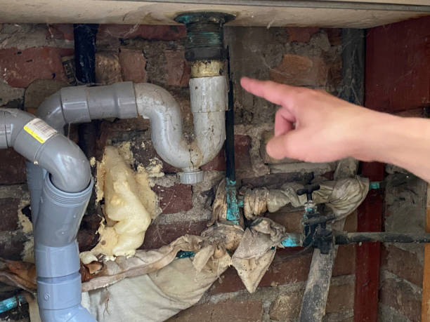 Best Water damage restoration near me  in French Mp, CA
